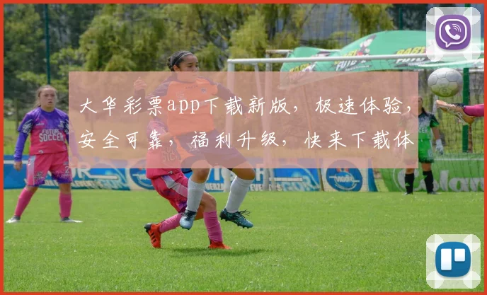 大华彩票app下载新版，极速体验，安全可靠，福利升级，快来下载体验
